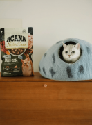 <b>宠物食物行业旧事：爱肯拿首款冻干双拼猫粮正</b>